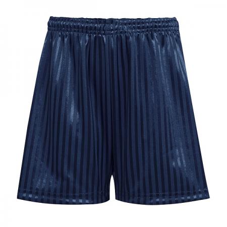 David Luke Shadow Stripe Navy Shorts